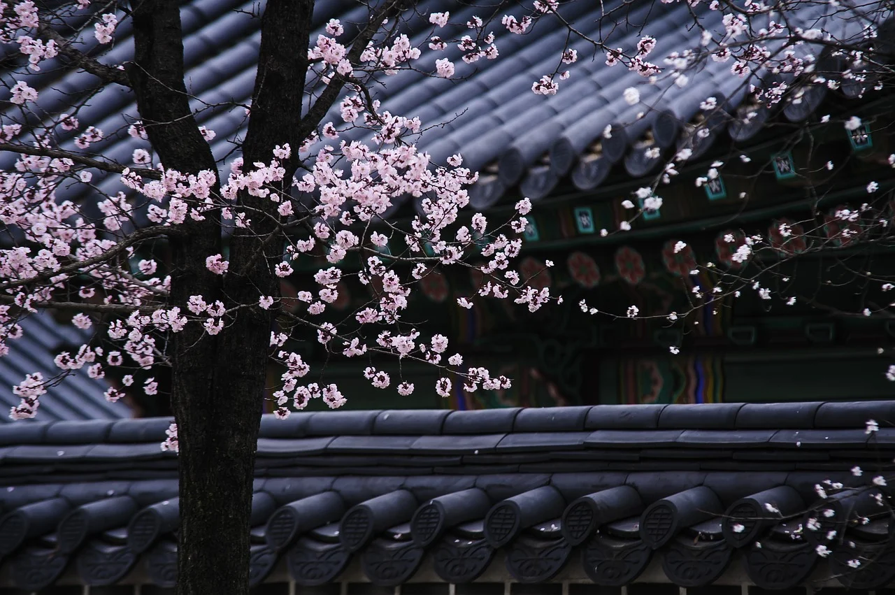 Hubungi Arumi Flower Shop