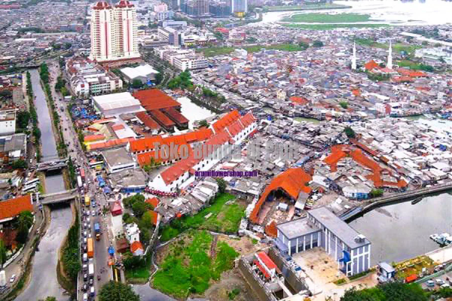 Toko Bunga Pluit Jakarta Utara | 081298727281